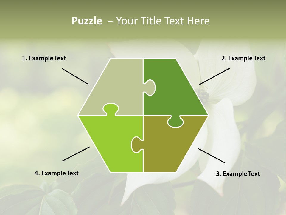 A White Flower With Green Leaves In The Background PowerPoint Template