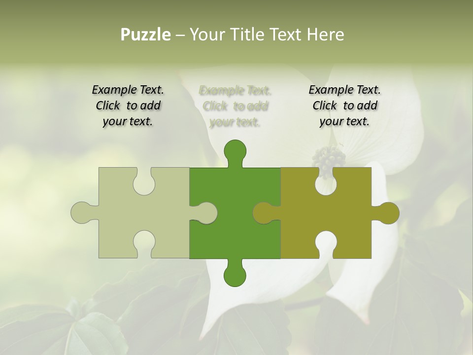 A White Flower With Green Leaves In The Background PowerPoint Template