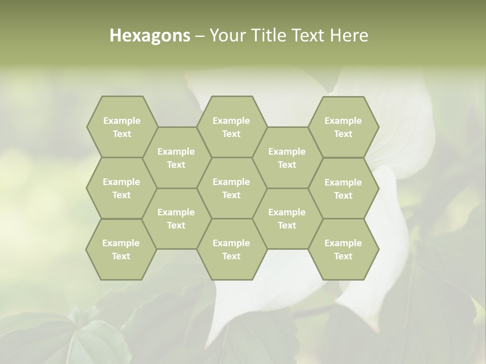 A White Flower With Green Leaves In The Background PowerPoint Template