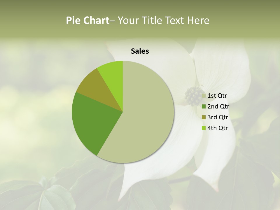 A White Flower With Green Leaves In The Background PowerPoint Template