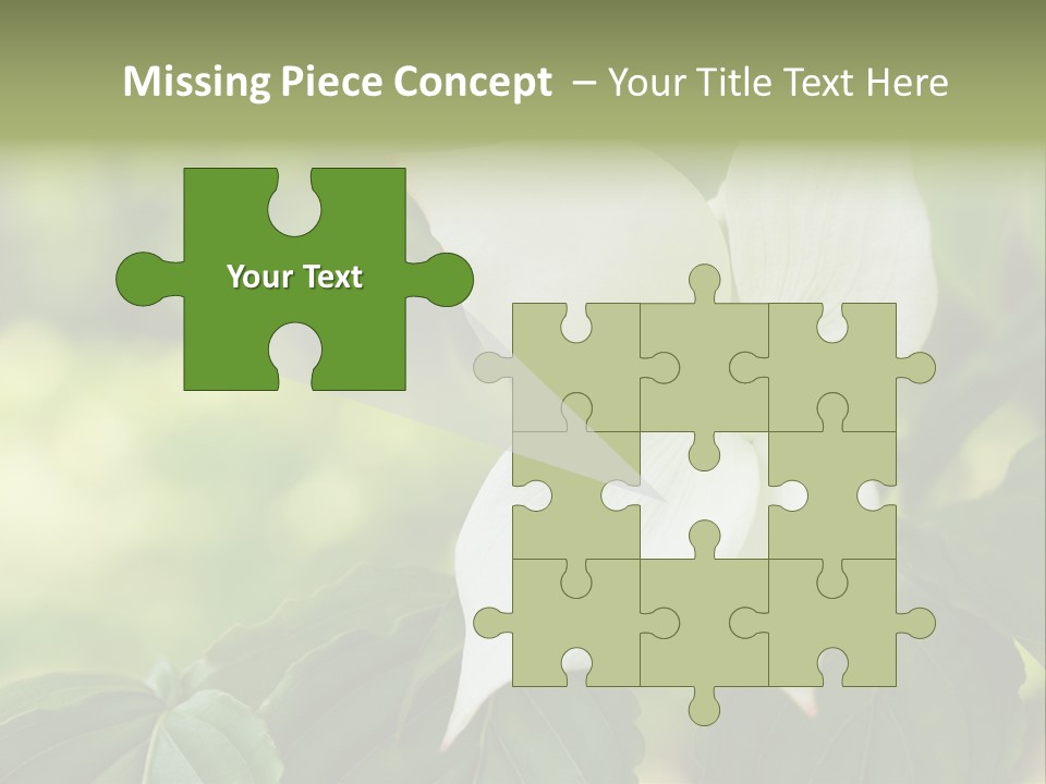 A White Flower With Green Leaves In The Background PowerPoint Template