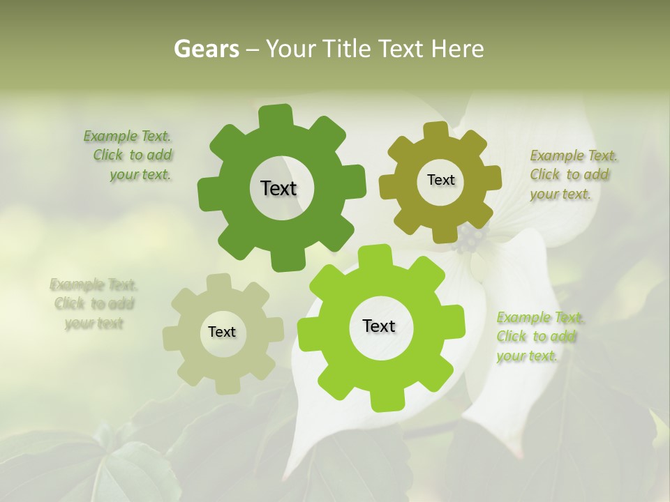 A White Flower With Green Leaves In The Background PowerPoint Template