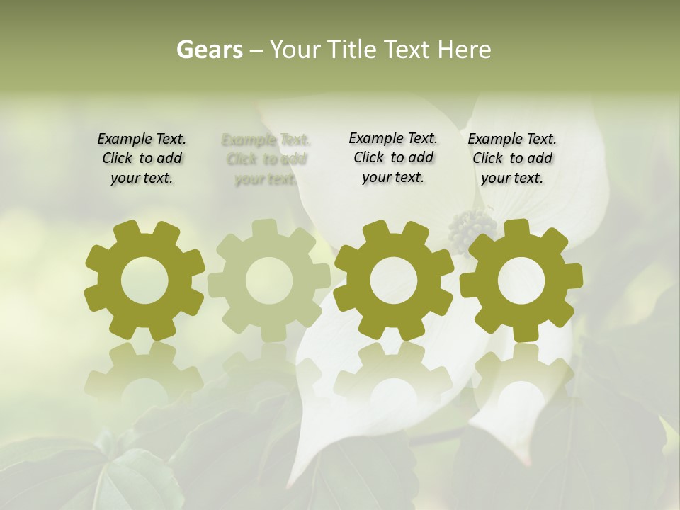 A White Flower With Green Leaves In The Background PowerPoint Template