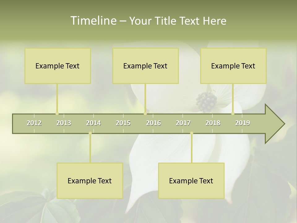 A White Flower With Green Leaves In The Background PowerPoint Template