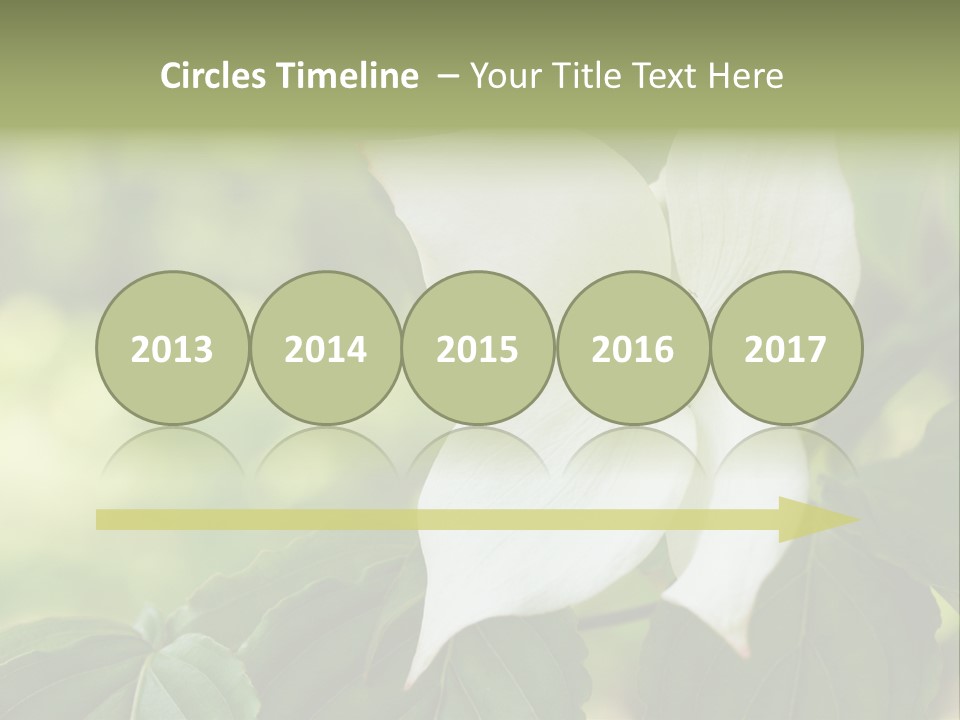 A White Flower With Green Leaves In The Background PowerPoint Template