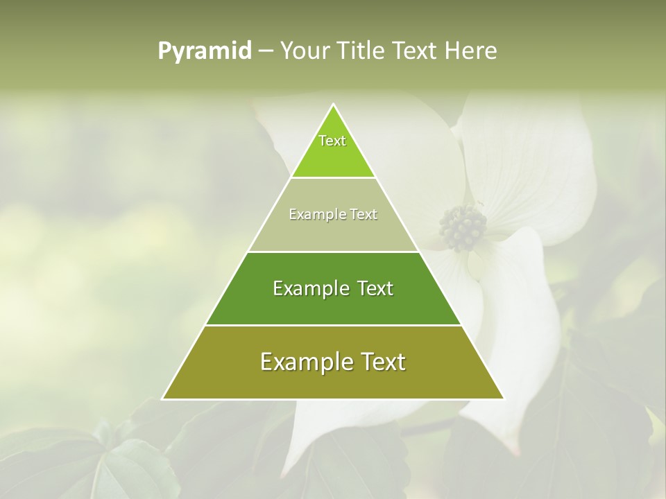 A White Flower With Green Leaves In The Background PowerPoint Template