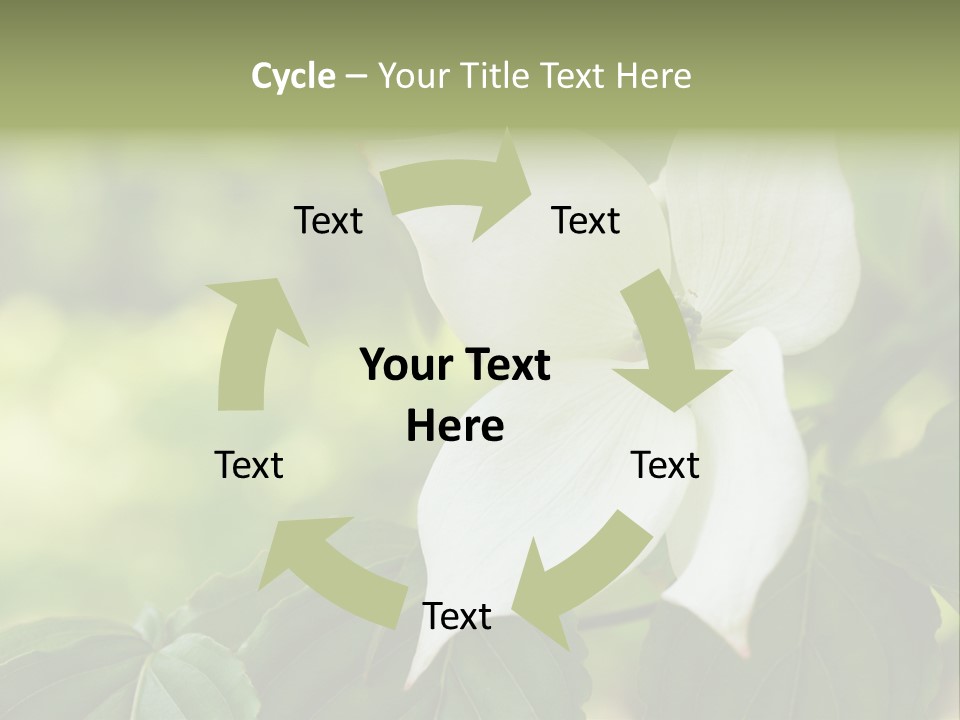 A White Flower With Green Leaves In The Background PowerPoint Template