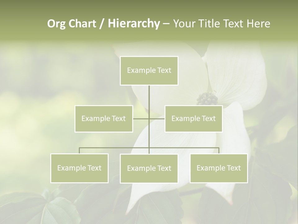 A White Flower With Green Leaves In The Background PowerPoint Template