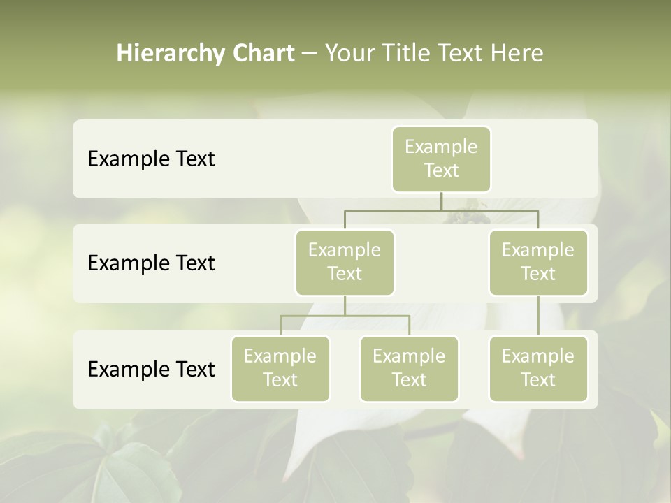 A White Flower With Green Leaves In The Background PowerPoint Template
