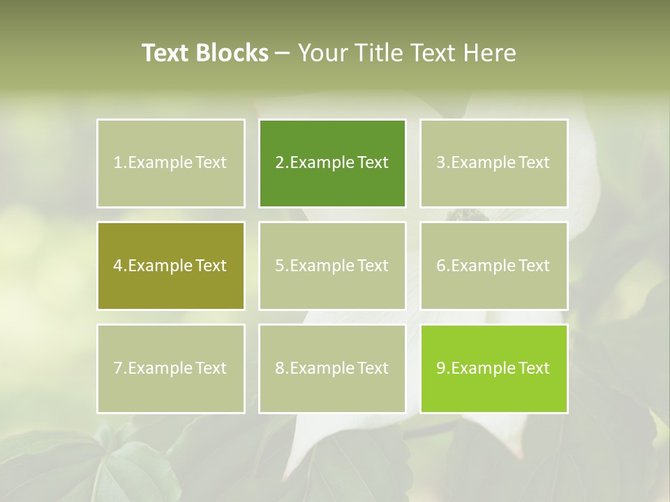 A White Flower With Green Leaves In The Background PowerPoint Template