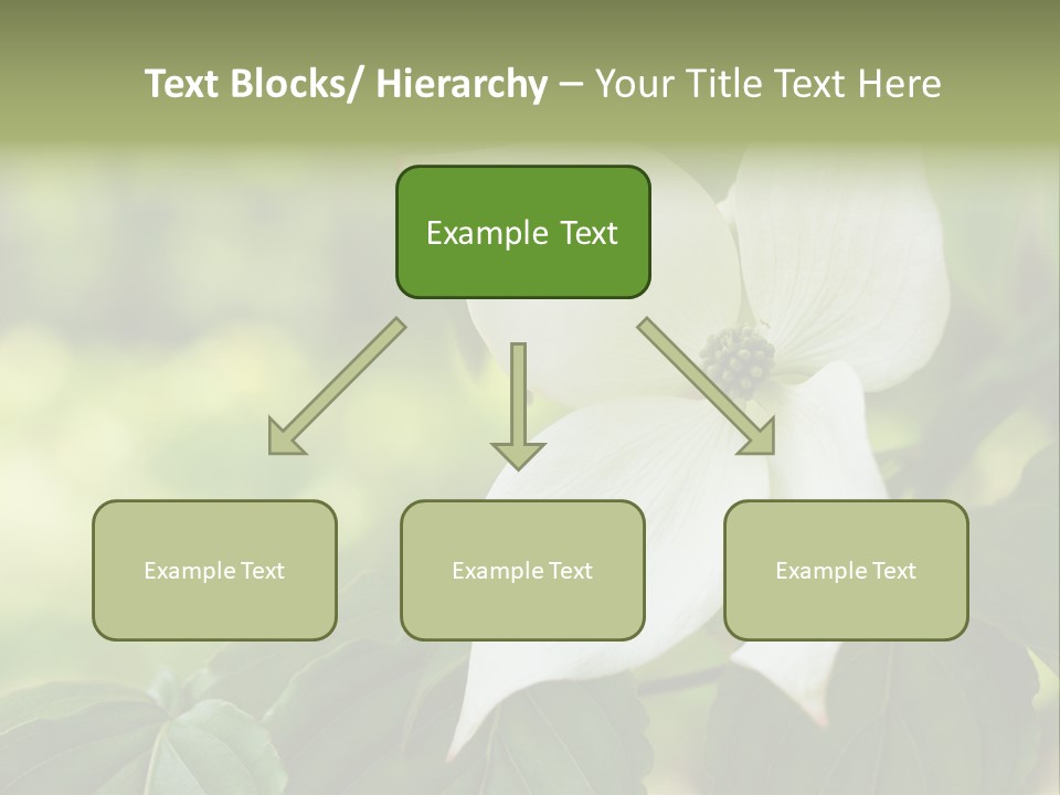 A White Flower With Green Leaves In The Background PowerPoint Template