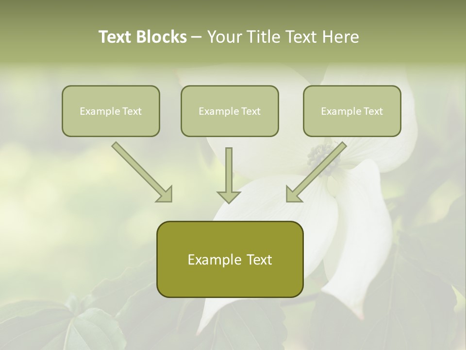 A White Flower With Green Leaves In The Background PowerPoint Template