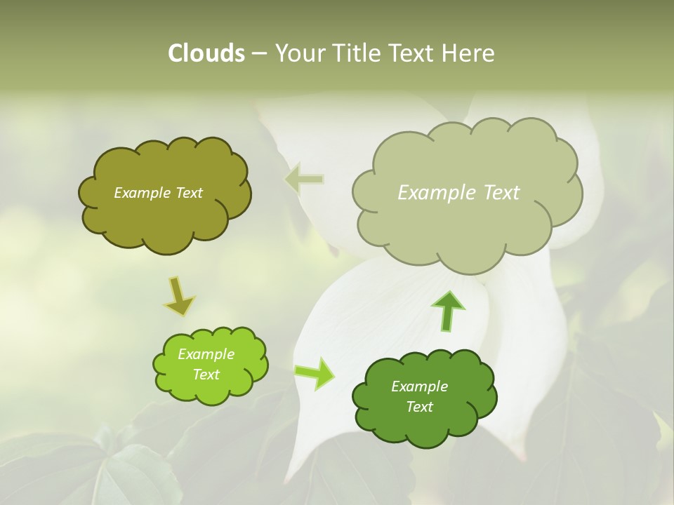 A White Flower With Green Leaves In The Background PowerPoint Template