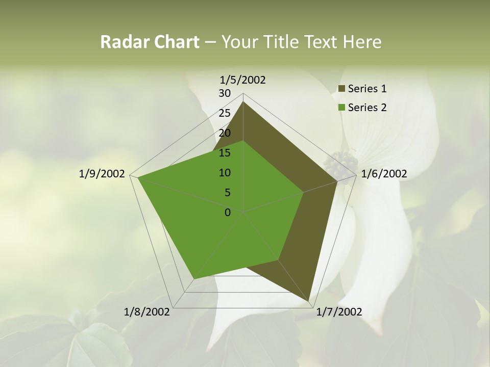 A White Flower With Green Leaves In The Background PowerPoint Template