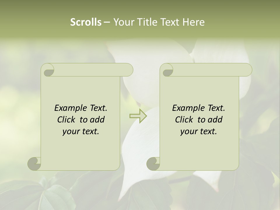 A White Flower With Green Leaves In The Background PowerPoint Template