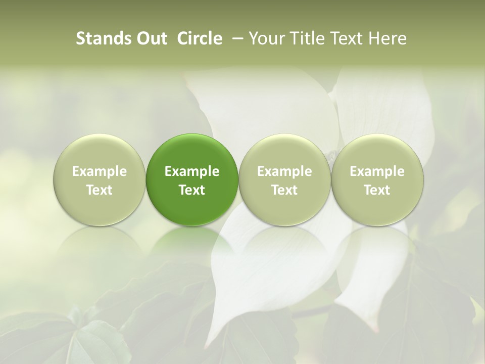 A White Flower With Green Leaves In The Background PowerPoint Template