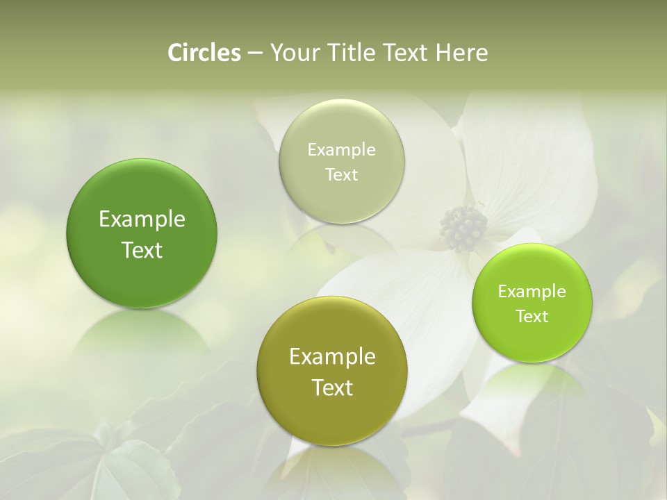 A White Flower With Green Leaves In The Background PowerPoint Template
