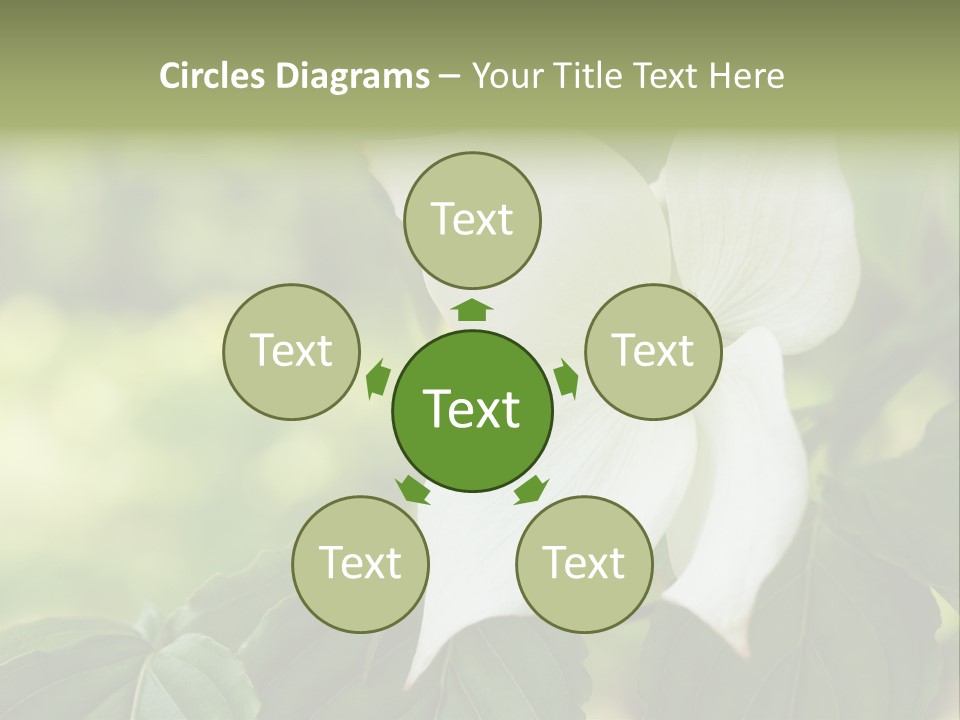 A White Flower With Green Leaves In The Background PowerPoint Template