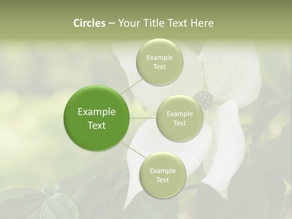 A White Flower With Green Leaves In The Background PowerPoint Template