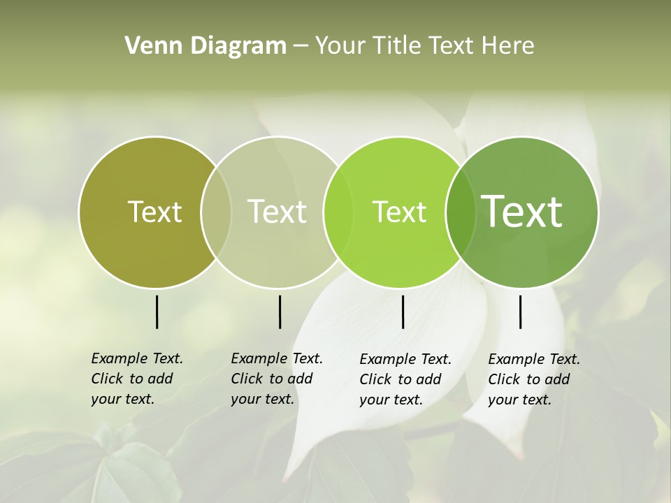 A White Flower With Green Leaves In The Background PowerPoint Template