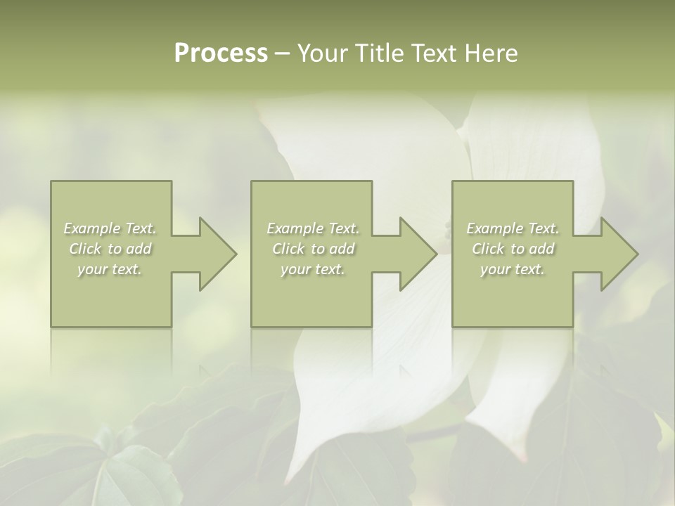 A White Flower With Green Leaves In The Background PowerPoint Template