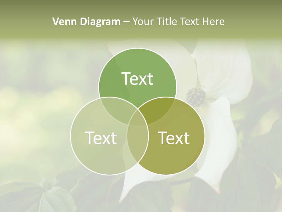 A White Flower With Green Leaves In The Background PowerPoint Template