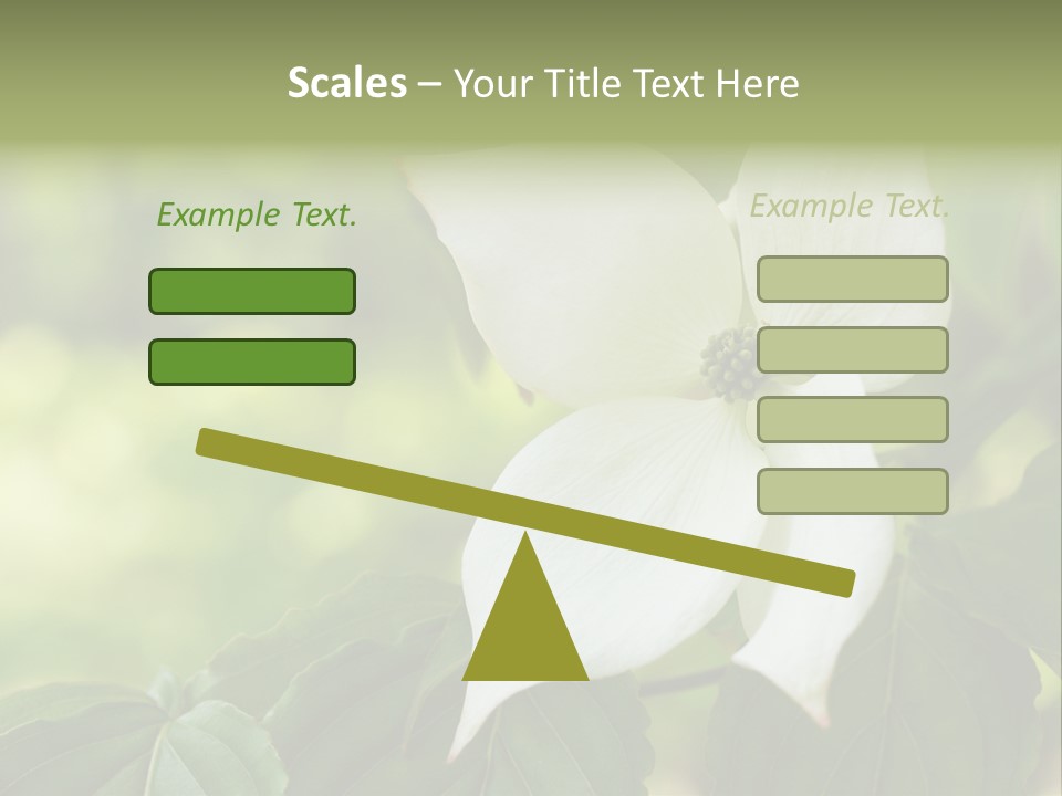 A White Flower With Green Leaves In The Background PowerPoint Template