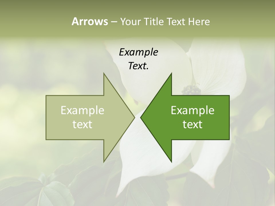 A White Flower With Green Leaves In The Background PowerPoint Template