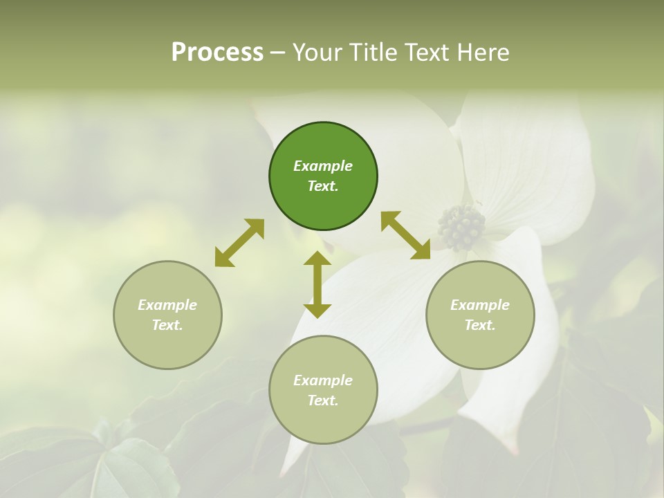 A White Flower With Green Leaves In The Background PowerPoint Template