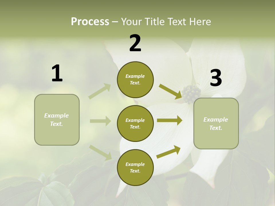 A White Flower With Green Leaves In The Background PowerPoint Template