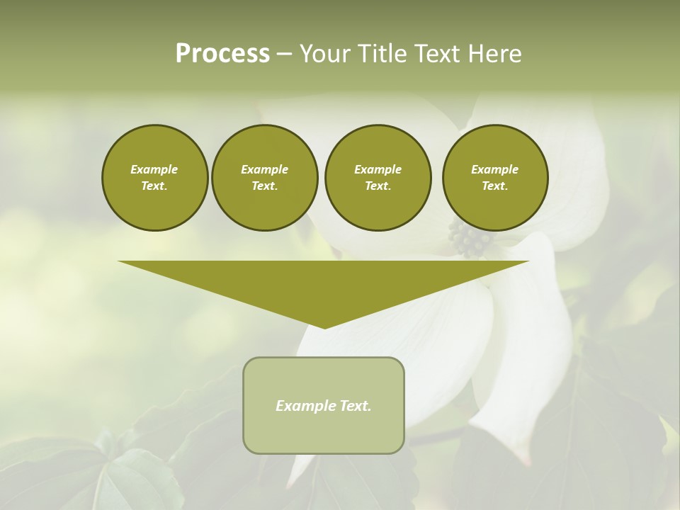 A White Flower With Green Leaves In The Background PowerPoint Template