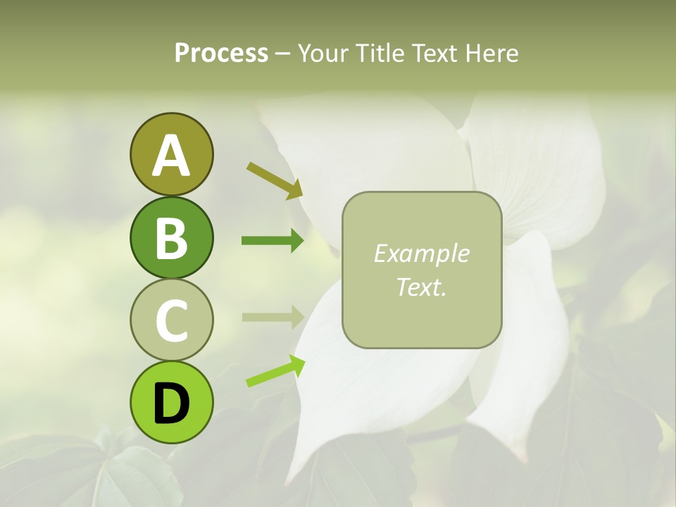 A White Flower With Green Leaves In The Background PowerPoint Template