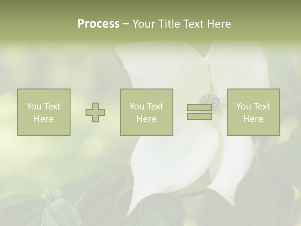 A White Flower With Green Leaves In The Background PowerPoint Template