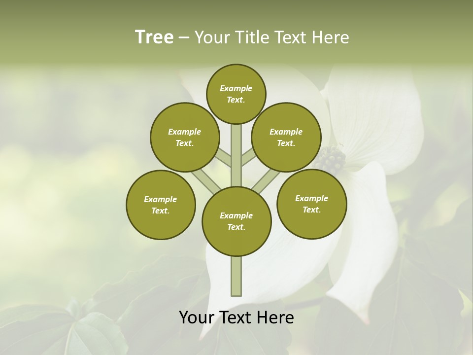 A White Flower With Green Leaves In The Background PowerPoint Template