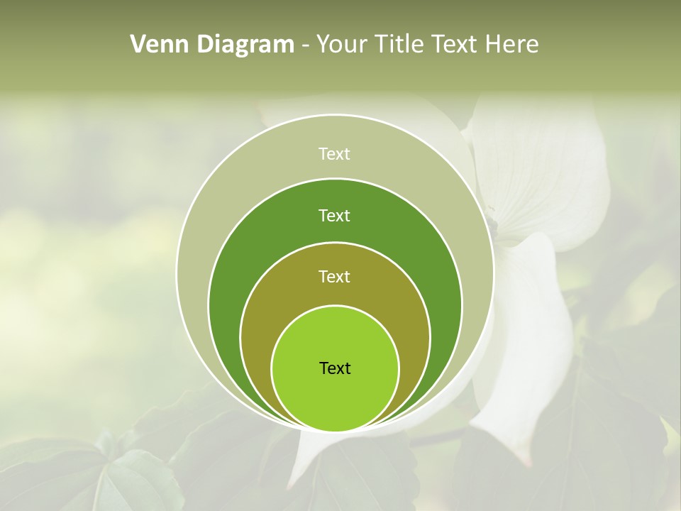 A White Flower With Green Leaves In The Background PowerPoint Template