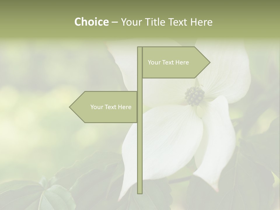 A White Flower With Green Leaves In The Background PowerPoint Template