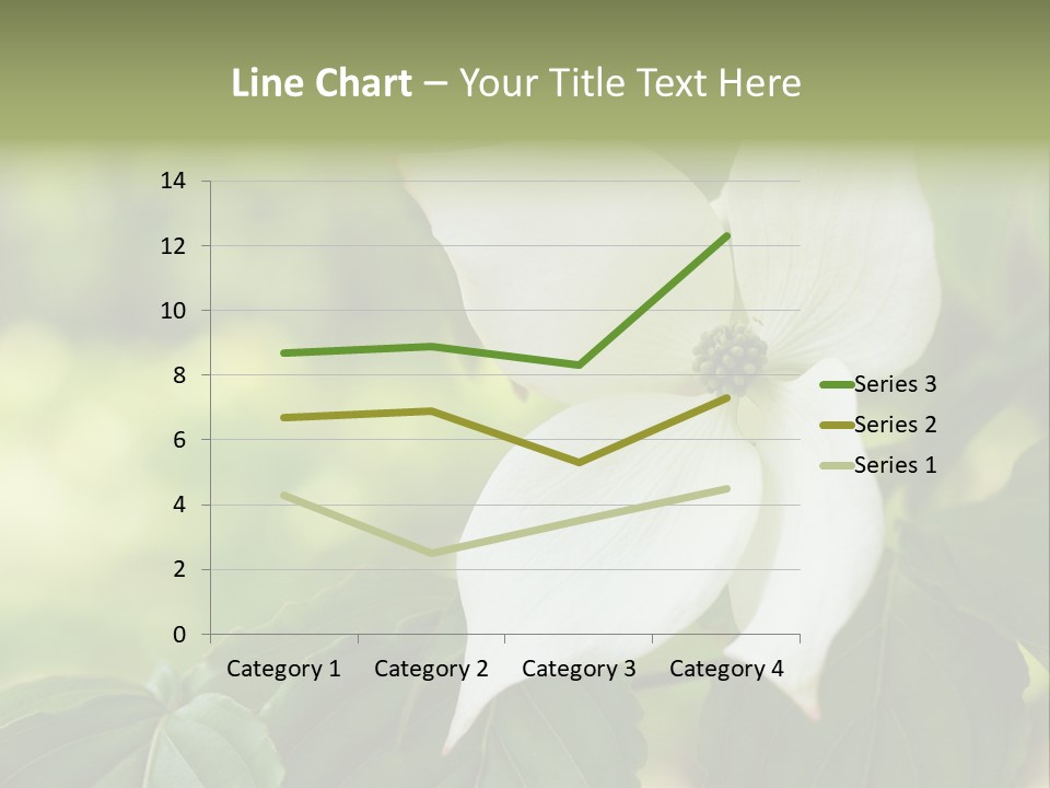 A White Flower With Green Leaves In The Background PowerPoint Template