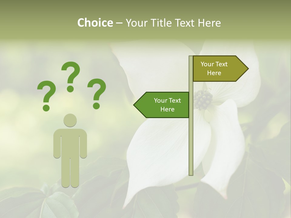 A White Flower With Green Leaves In The Background PowerPoint Template