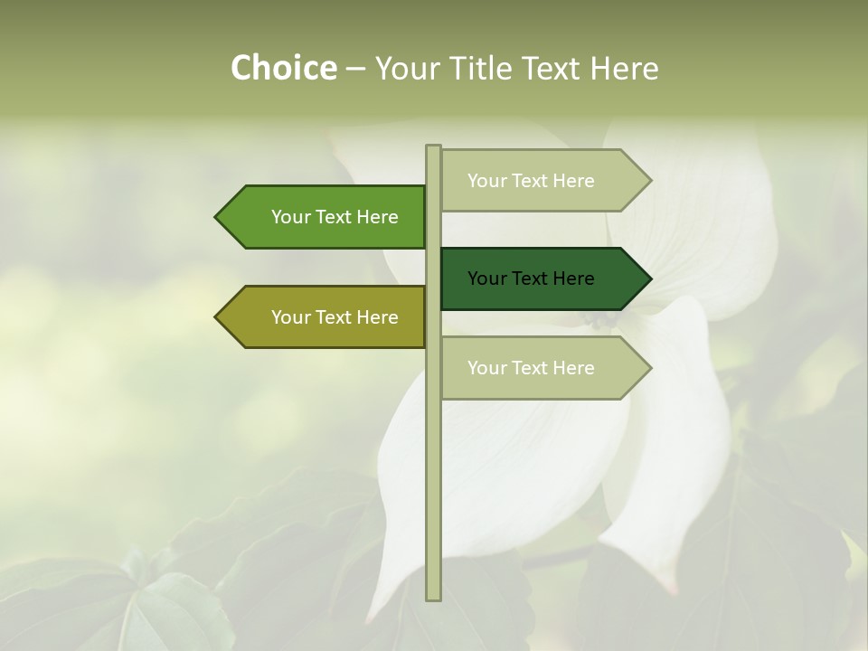 A White Flower With Green Leaves In The Background PowerPoint Template