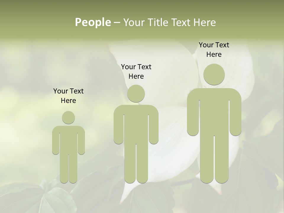 A White Flower With Green Leaves In The Background PowerPoint Template