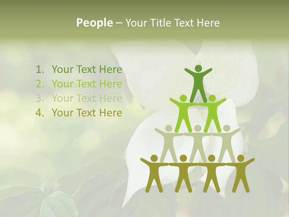 A White Flower With Green Leaves In The Background PowerPoint Template
