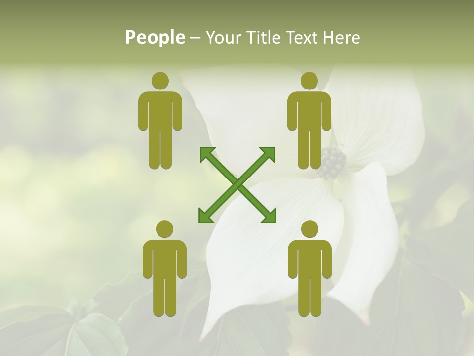 A White Flower With Green Leaves In The Background PowerPoint Template