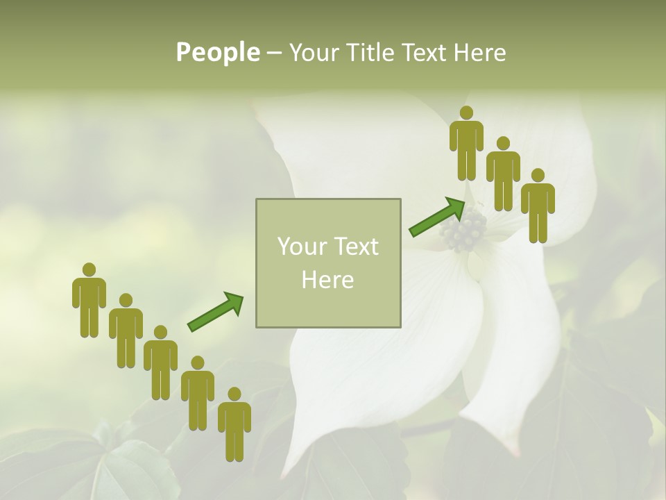 A White Flower With Green Leaves In The Background PowerPoint Template