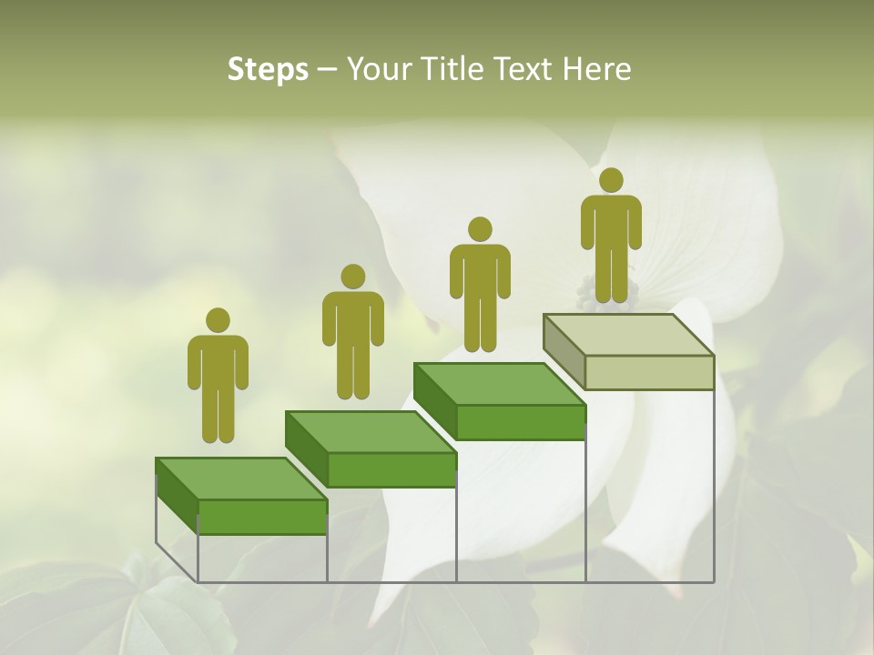 A White Flower With Green Leaves In The Background PowerPoint Template