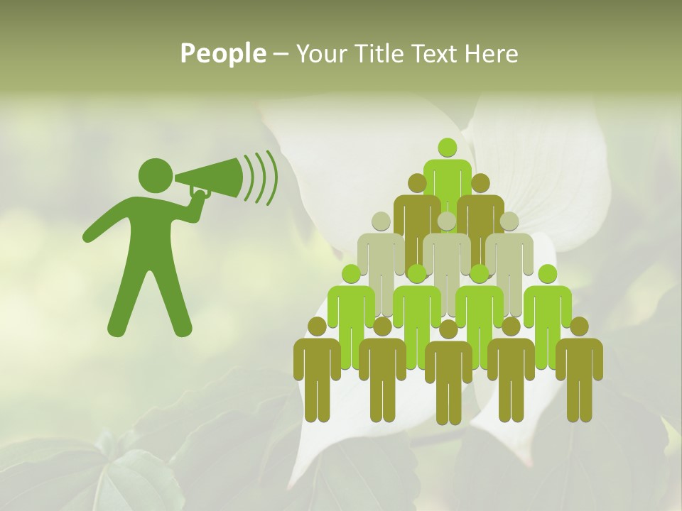 A White Flower With Green Leaves In The Background PowerPoint Template