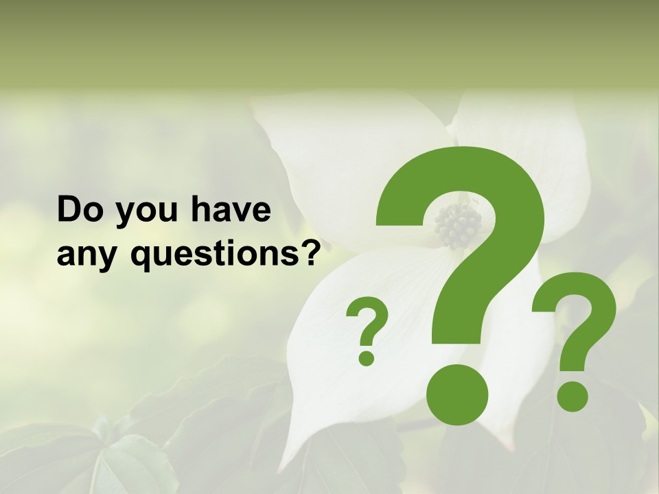 A White Flower With Green Leaves In The Background PowerPoint Template