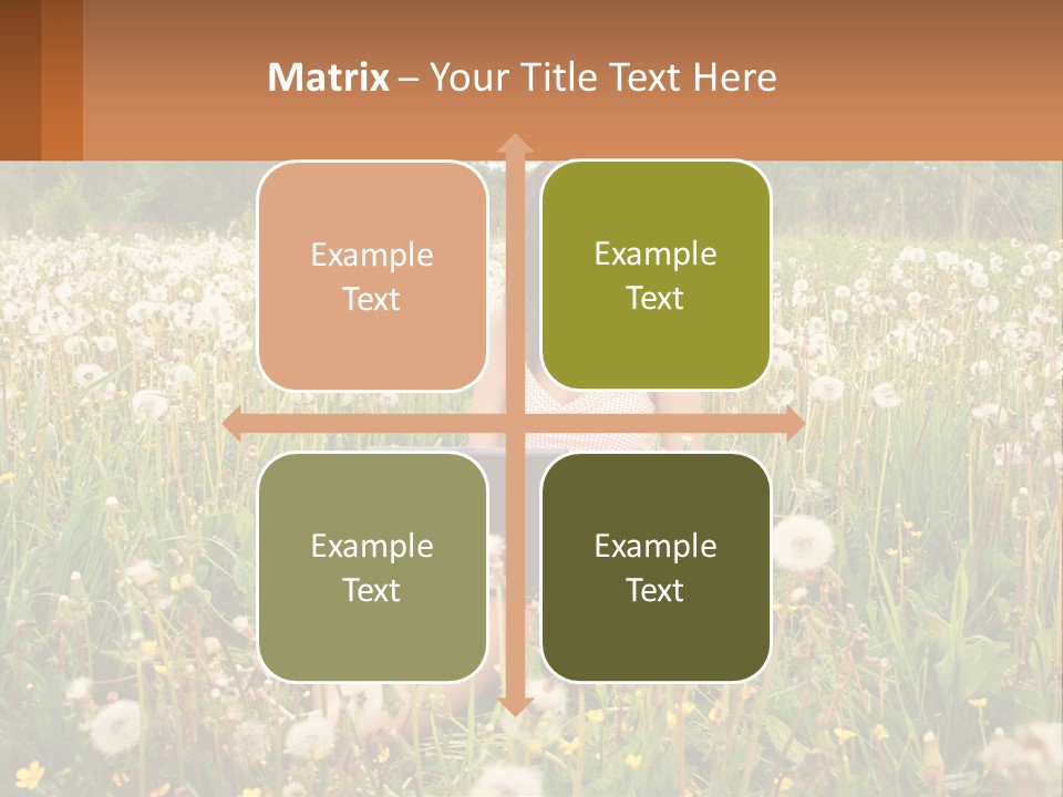 A Woman Sitting In A Field With A Laptop PowerPoint Template