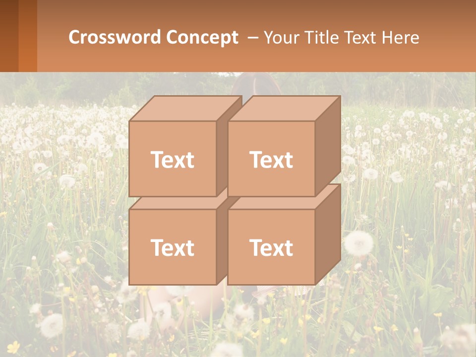 A Woman Sitting In A Field With A Laptop PowerPoint Template