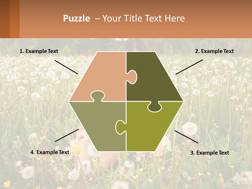 A Woman Sitting In A Field With A Laptop PowerPoint Template