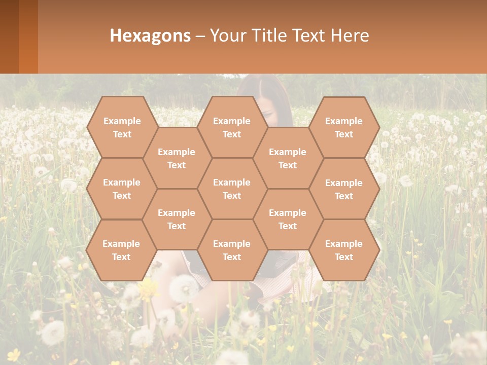 A Woman Sitting In A Field With A Laptop PowerPoint Template